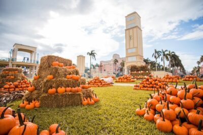 Boca Pumpkin Patch Fest