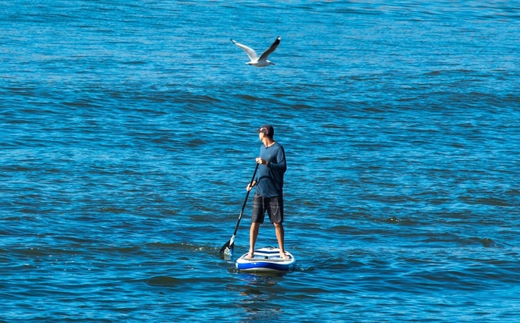 Paddleboarding